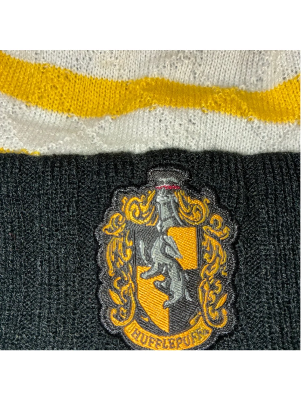 Universal Studios this hufflepuff